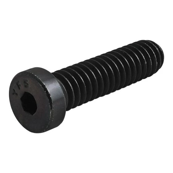 80/20 | 10 & 15 Series 1/4-20 x 1.00 in Low Head Socket Cap Screw (LHSCS) | 3017