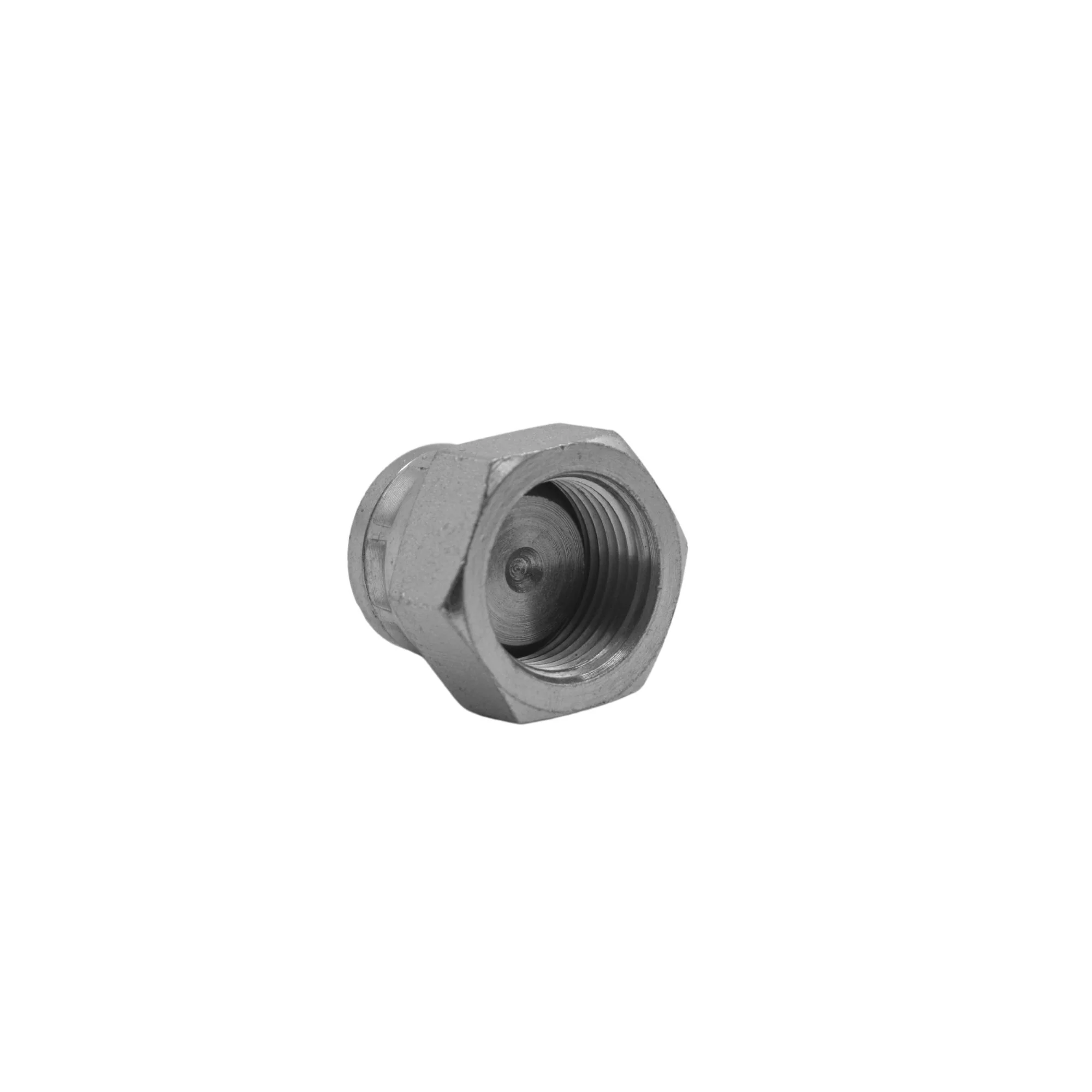 Hydraulics | 10FBSPP Cap | 9644-C-10 - Image 2