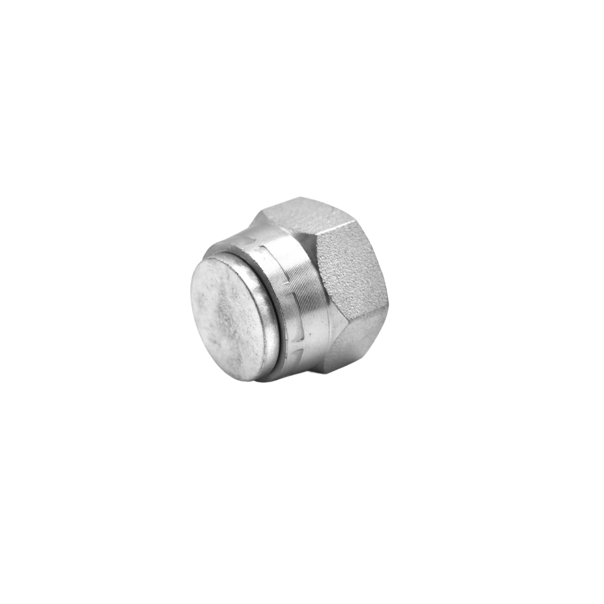 Hydraulics | 12FBSPP Cap | 9644-C-12