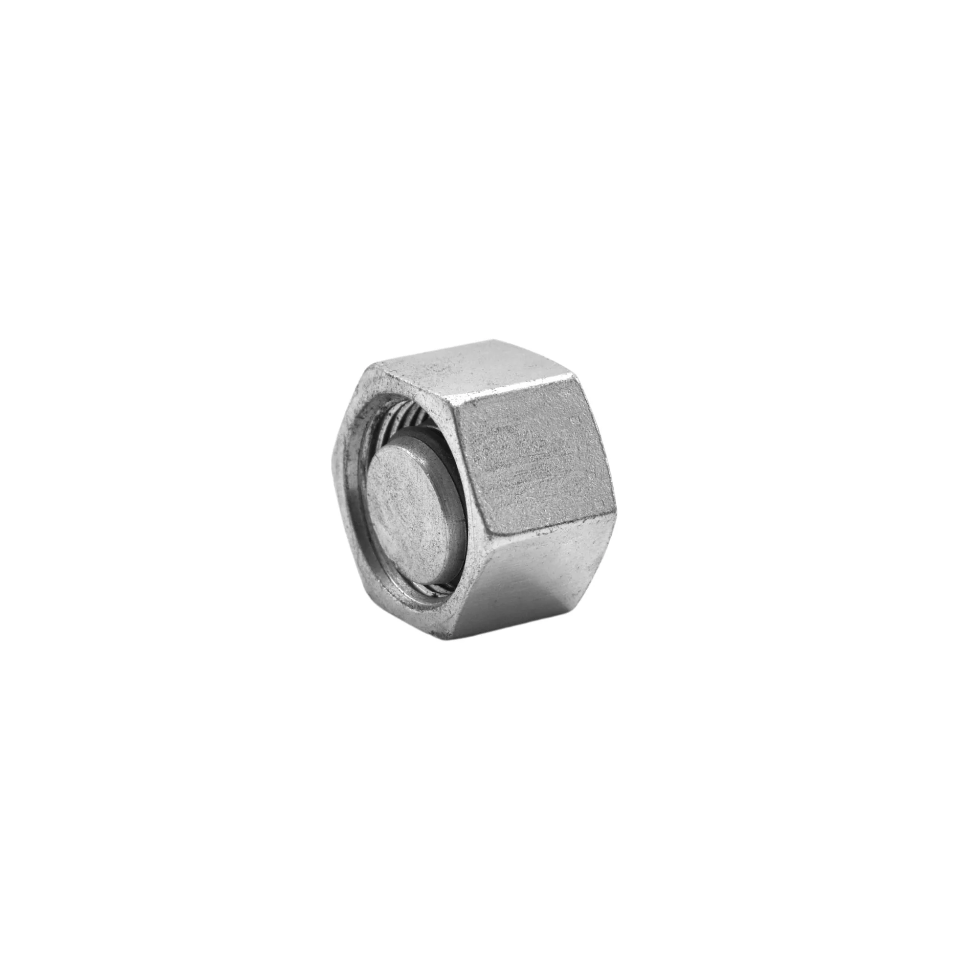 Hydraulics | Blanking Cap | D8003-L15 - Image 2