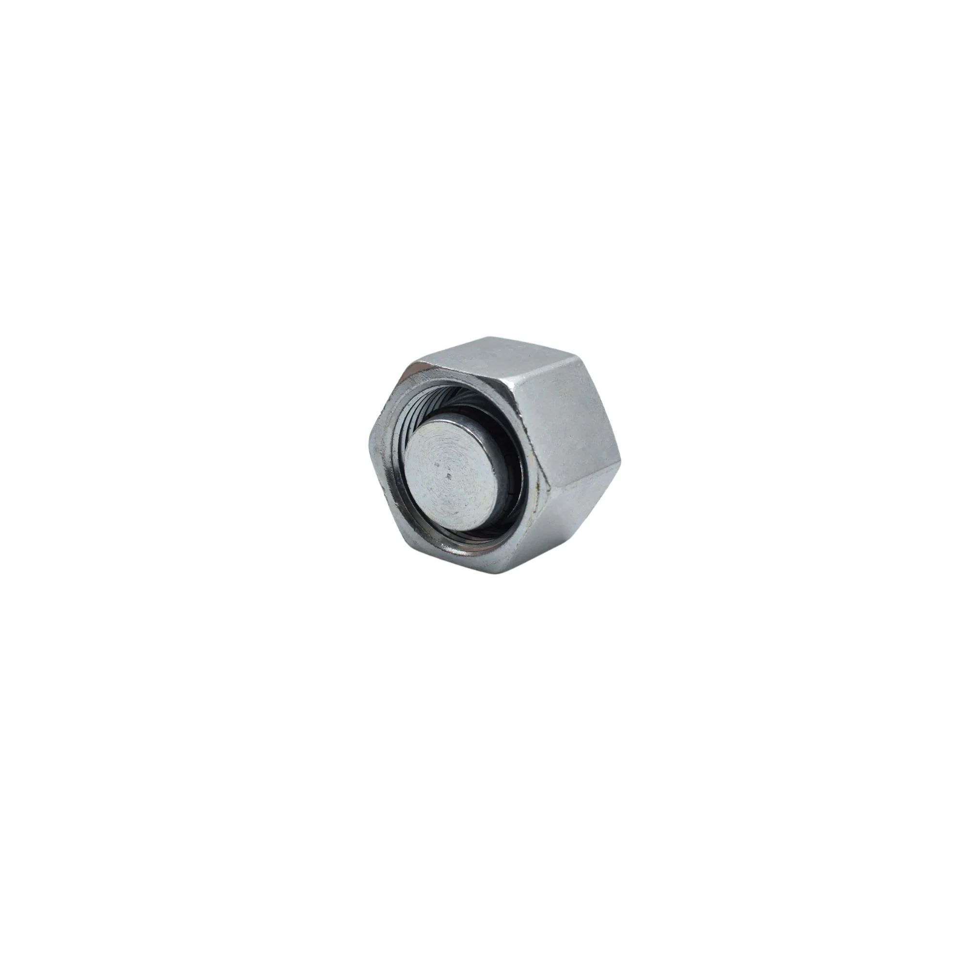 Hydraulics | Blanking Cap | D8003-S20 - Image 2