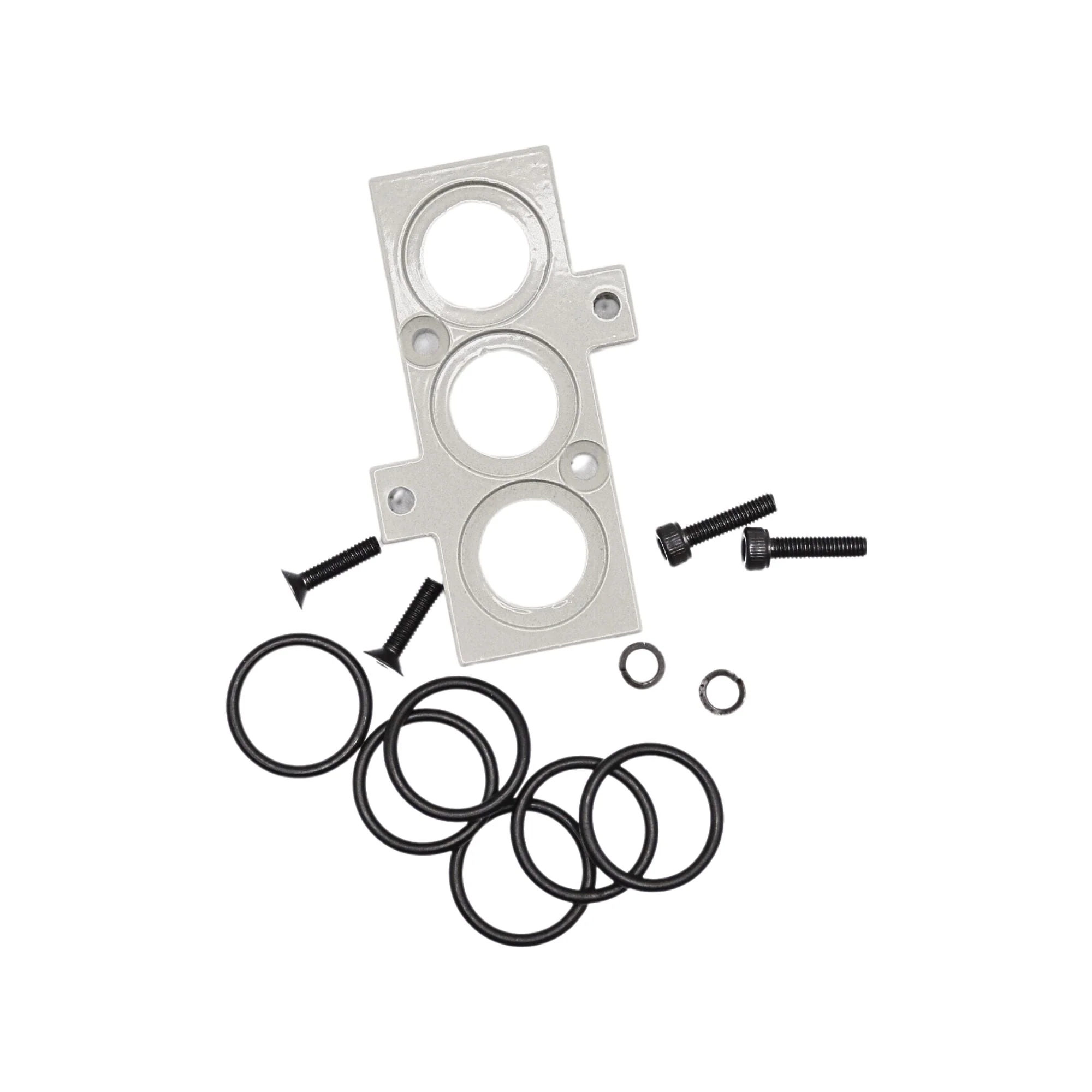 Numatics | Aventics Manifold part L1 Series Mounting kit | 239-311