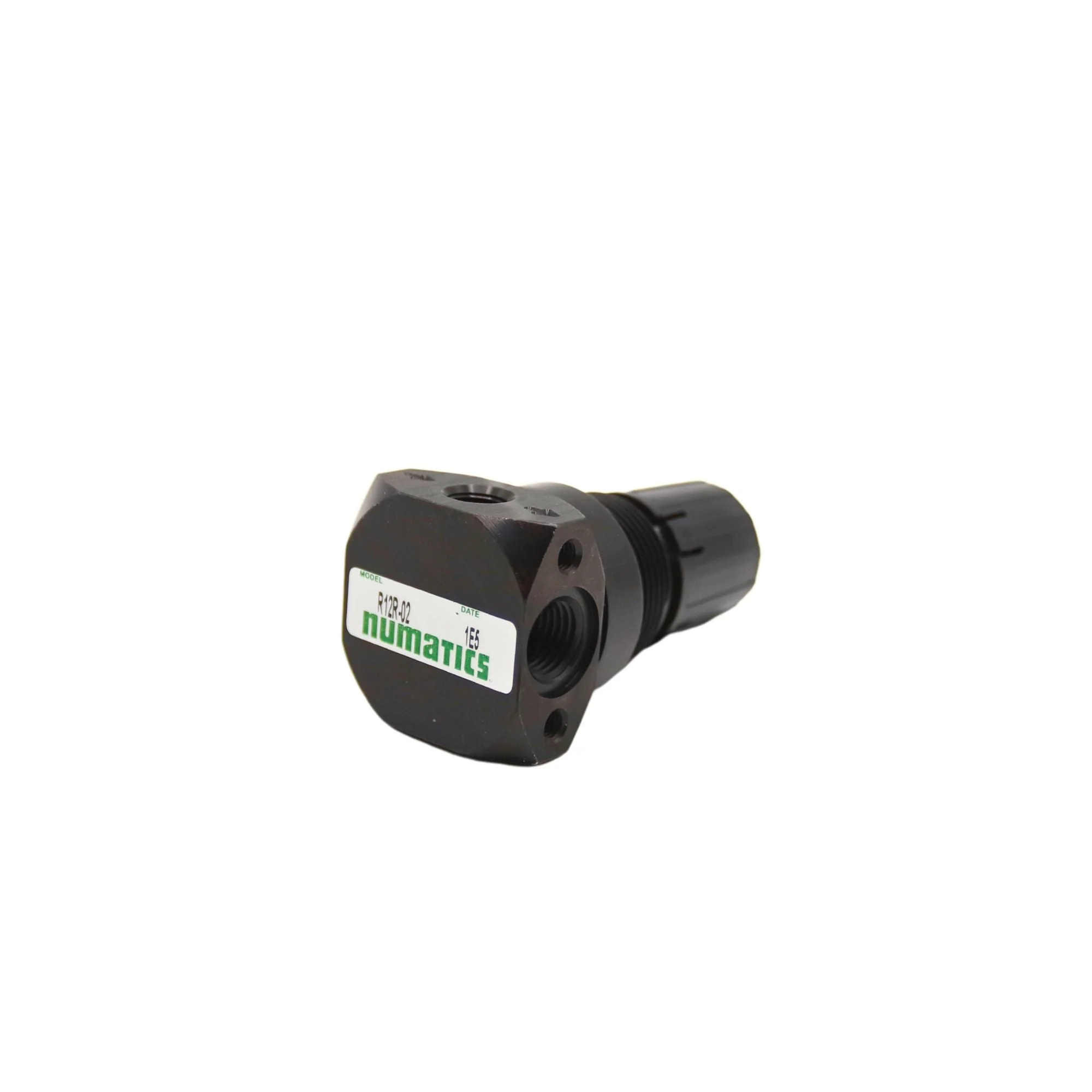 Numatics | Aventics Regulator 12 Series 1/4 in NPT, 0-125PSI | R12R-02