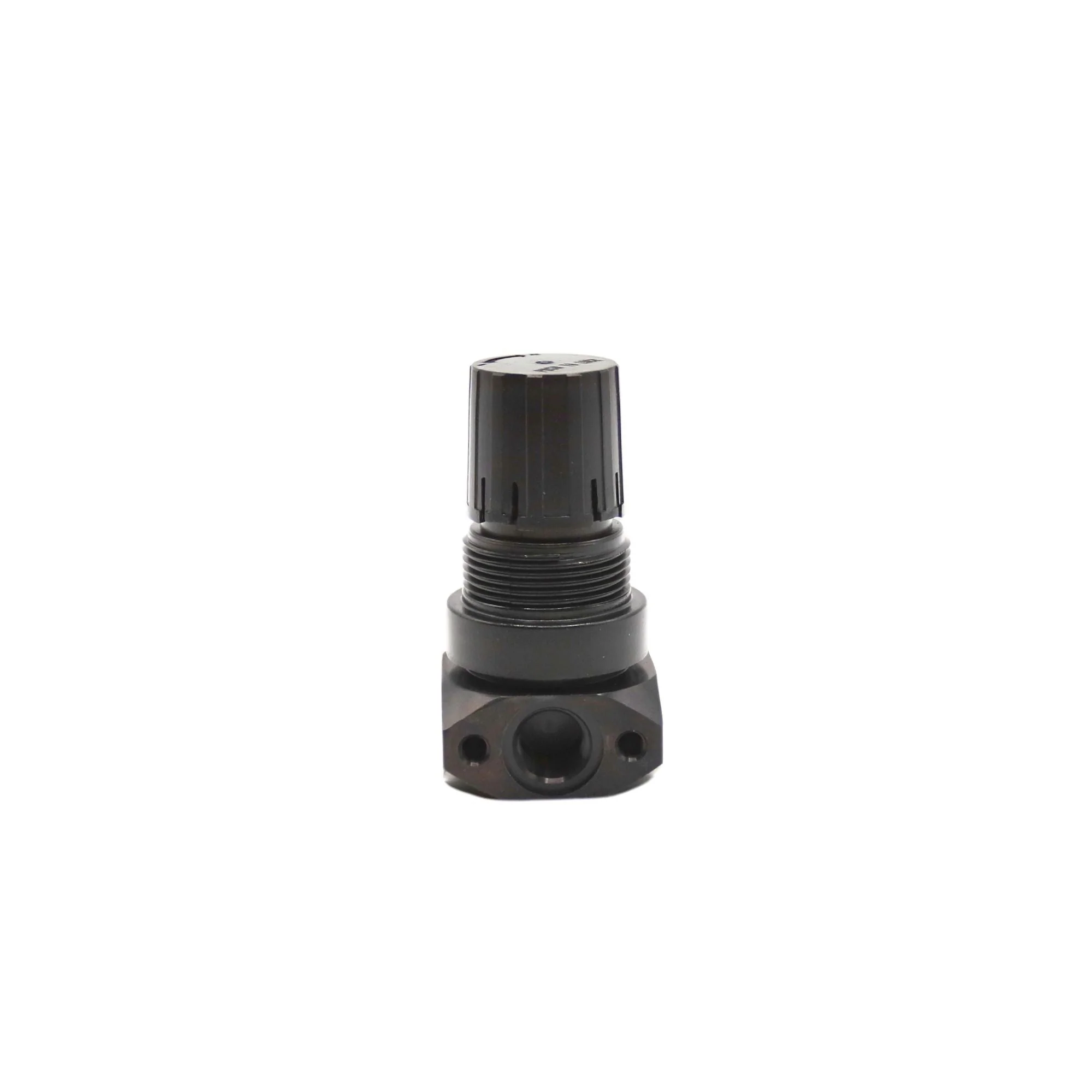 Numatics | Aventics Regulator 12 Series 1/4 in NPT, 0-125PSI | R12R-02 - Image 2