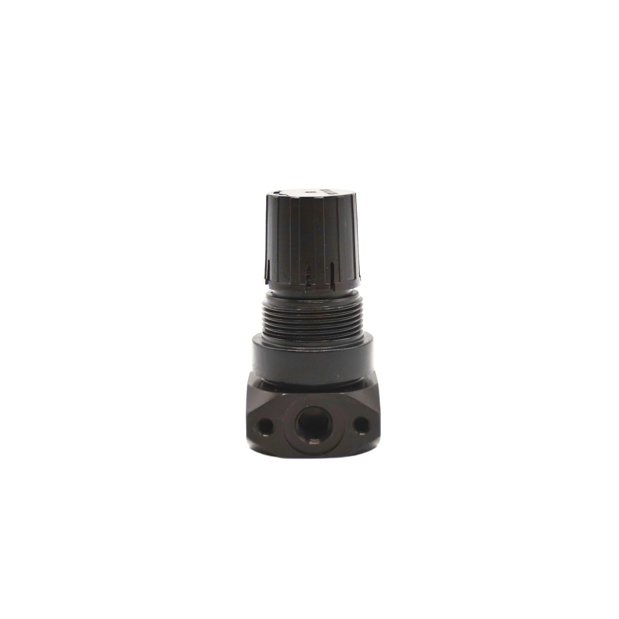 Numatics | Aventics Regulator 12 Series 1/8 in NPT, 0-125PSI | R12R-01 - Image 2